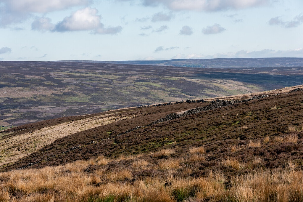 Bamford Edge Grouse Moor
