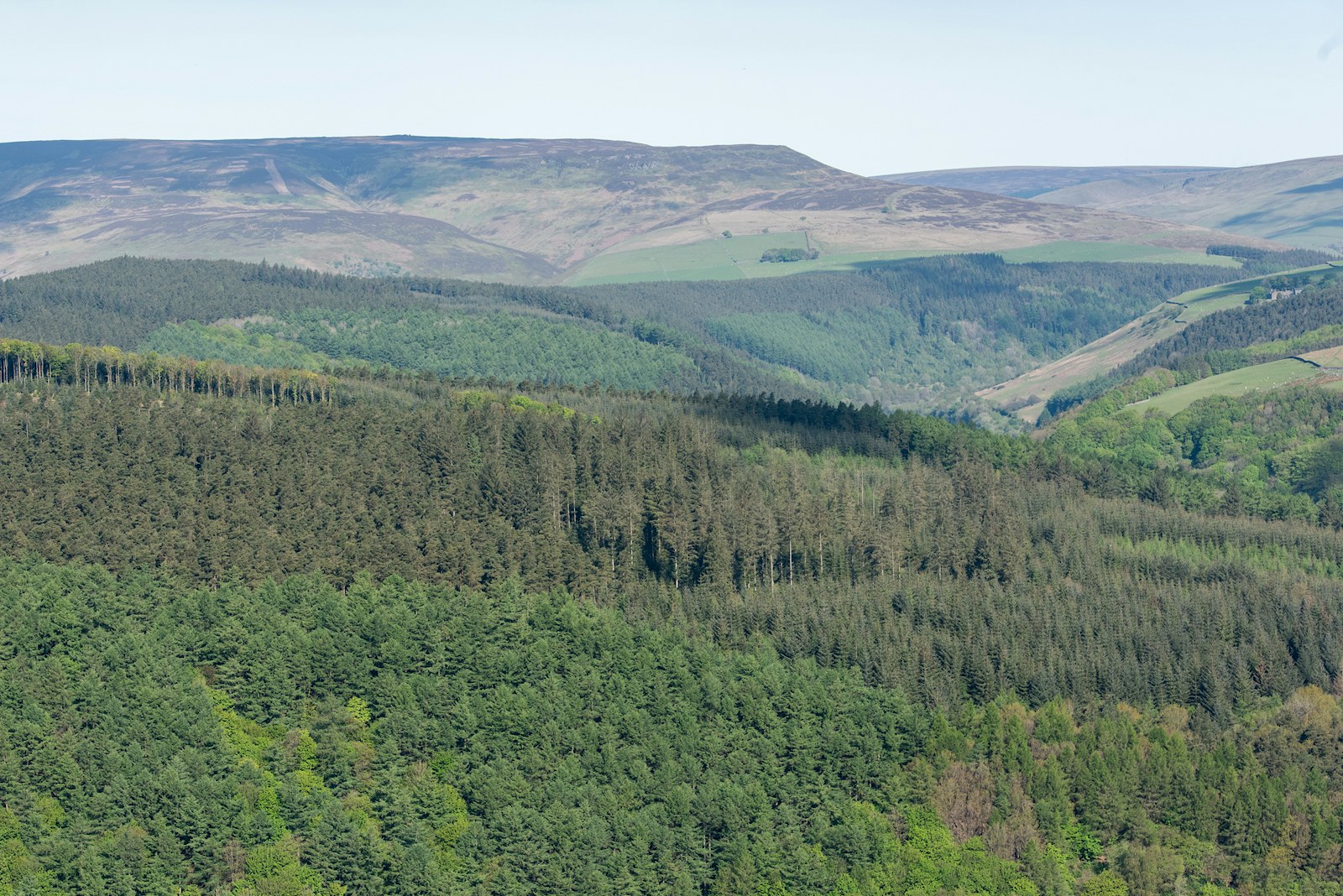 Peak District Bamford Edge