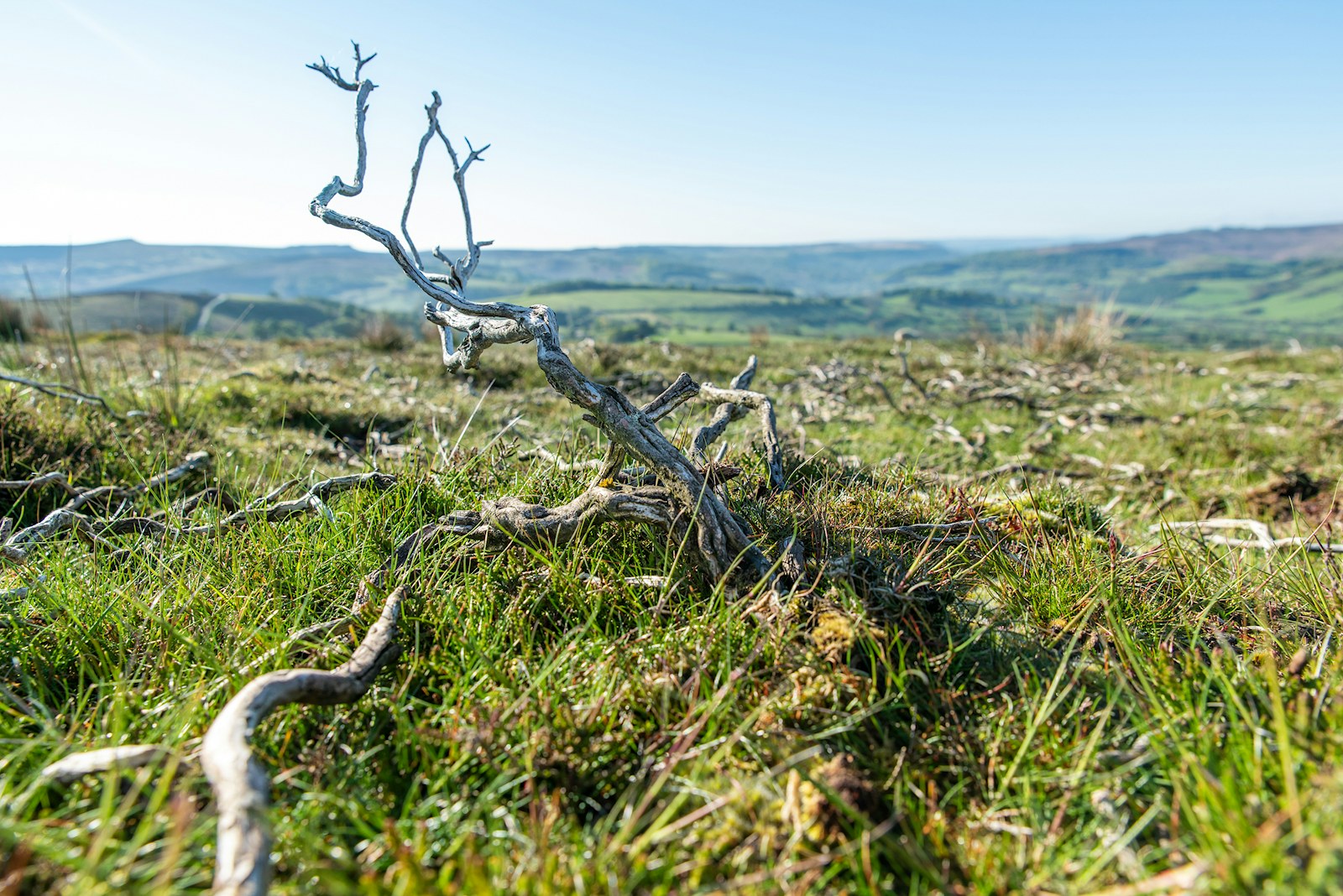 Peak District Bamford Edge