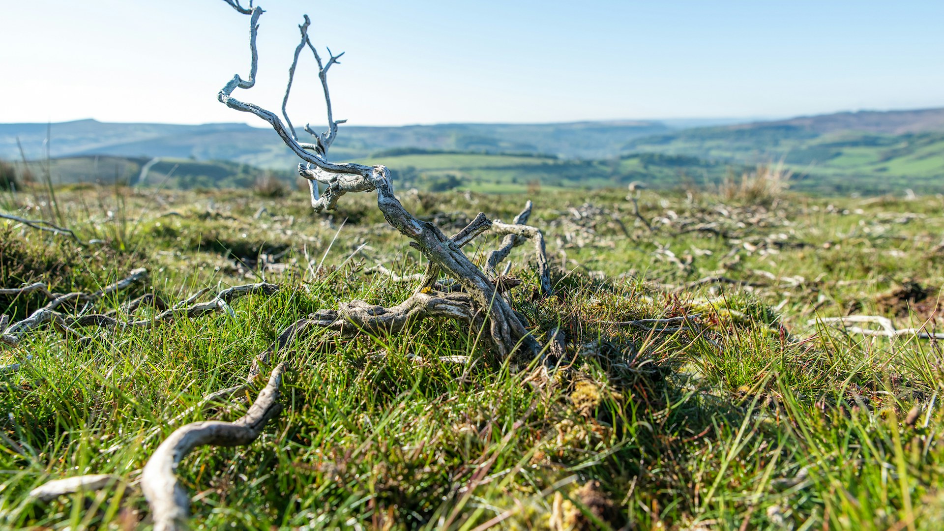 Peak District Bamford Edge