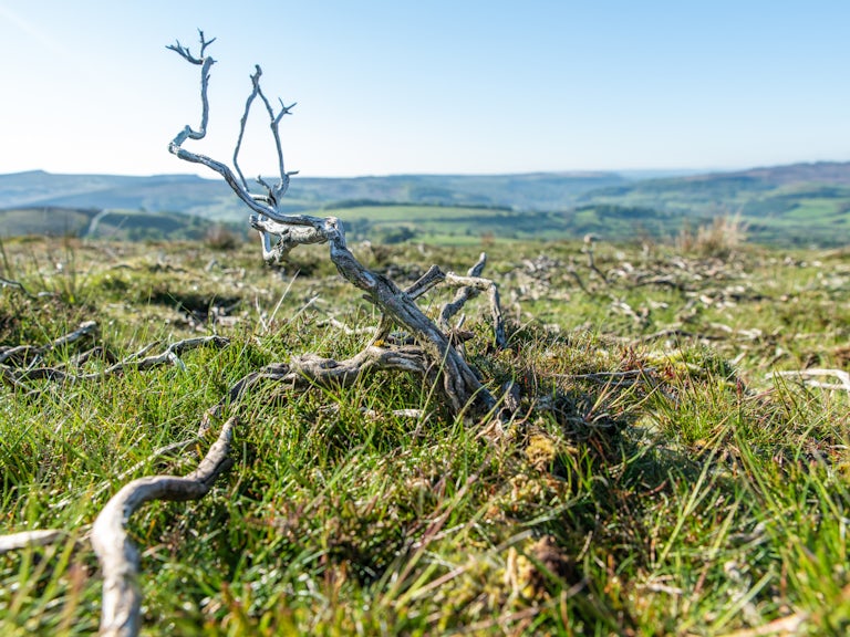 Peak District Bamford Edge