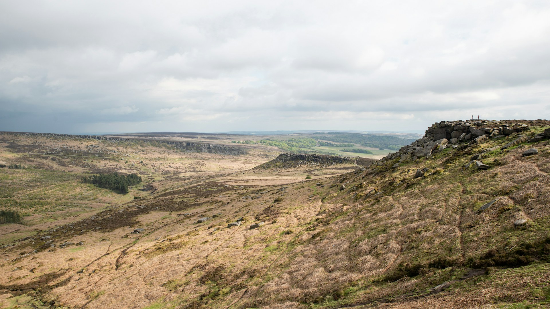 Heavily grazed landscape at Burbage Edge, Peak District