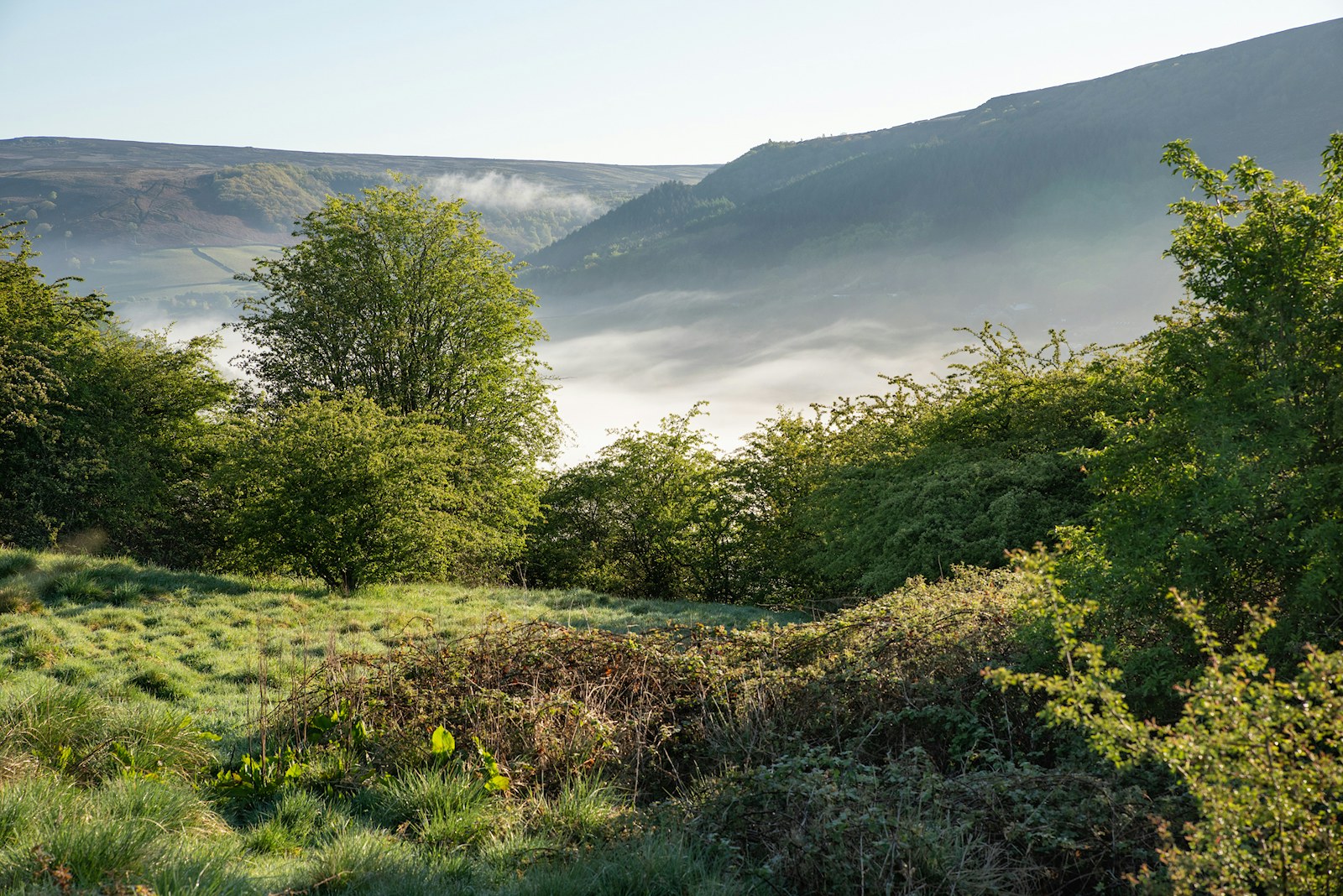 Landscape in Peak District Thornhill