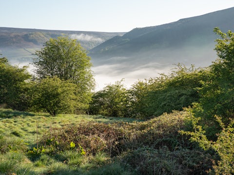 Landscape in Peak District Thornhill