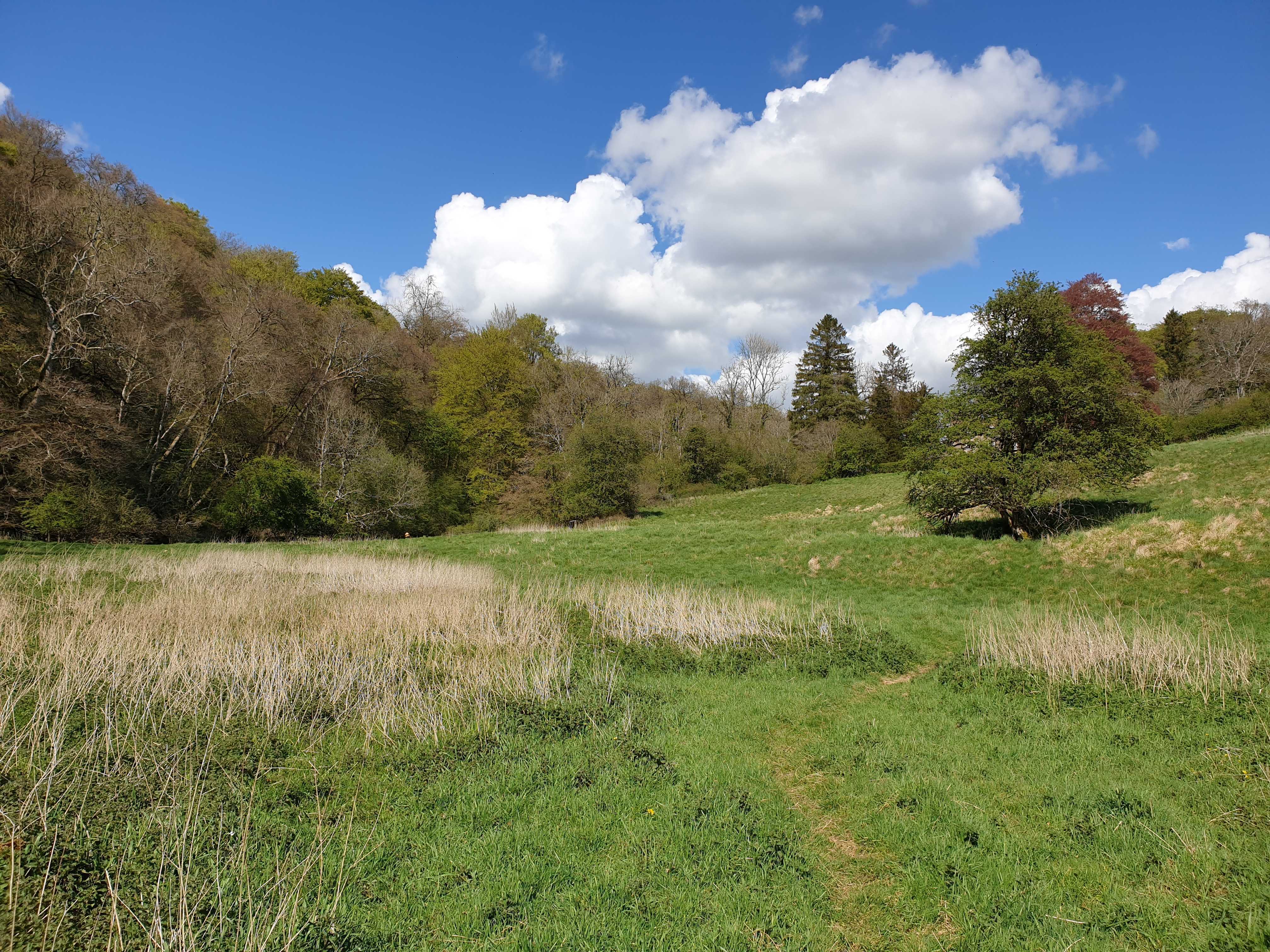 Local Rewilding Networks | Rewilding Britain