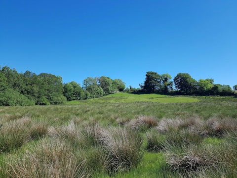 Cefn Garthenor rewilding area