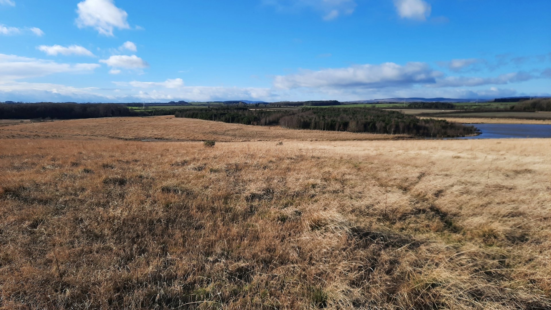 Northumberland Wildlife Trust West Chevington