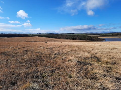 Northumberland Wildlife Trust West Chevington