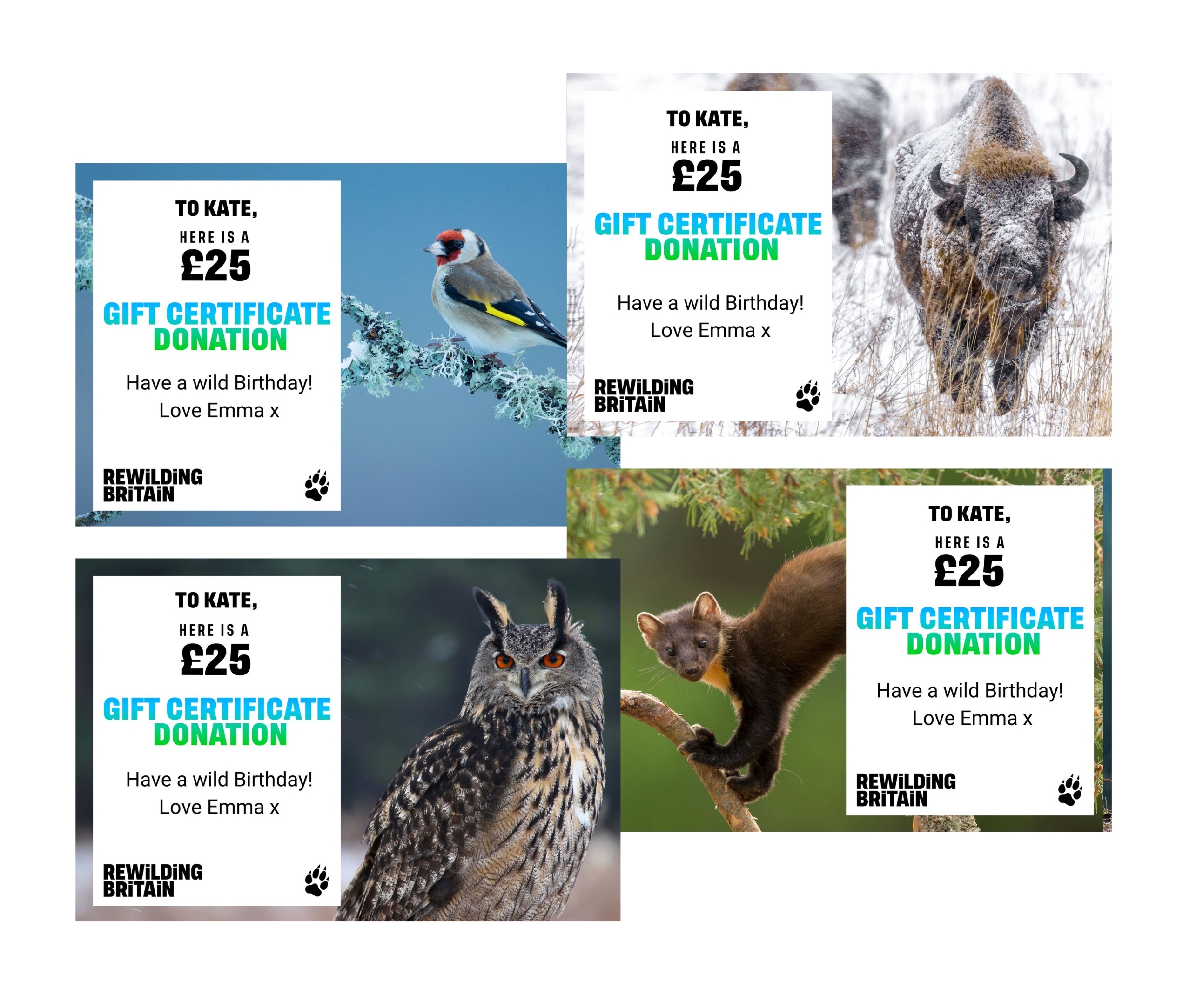 2023 winter gift certificates montage