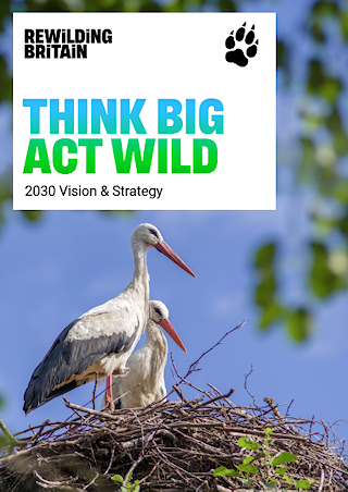 Stork sitting in a nest on front cover of report