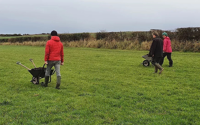 Volunteers walking in a field