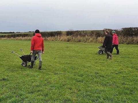 Volunteers walking in a field