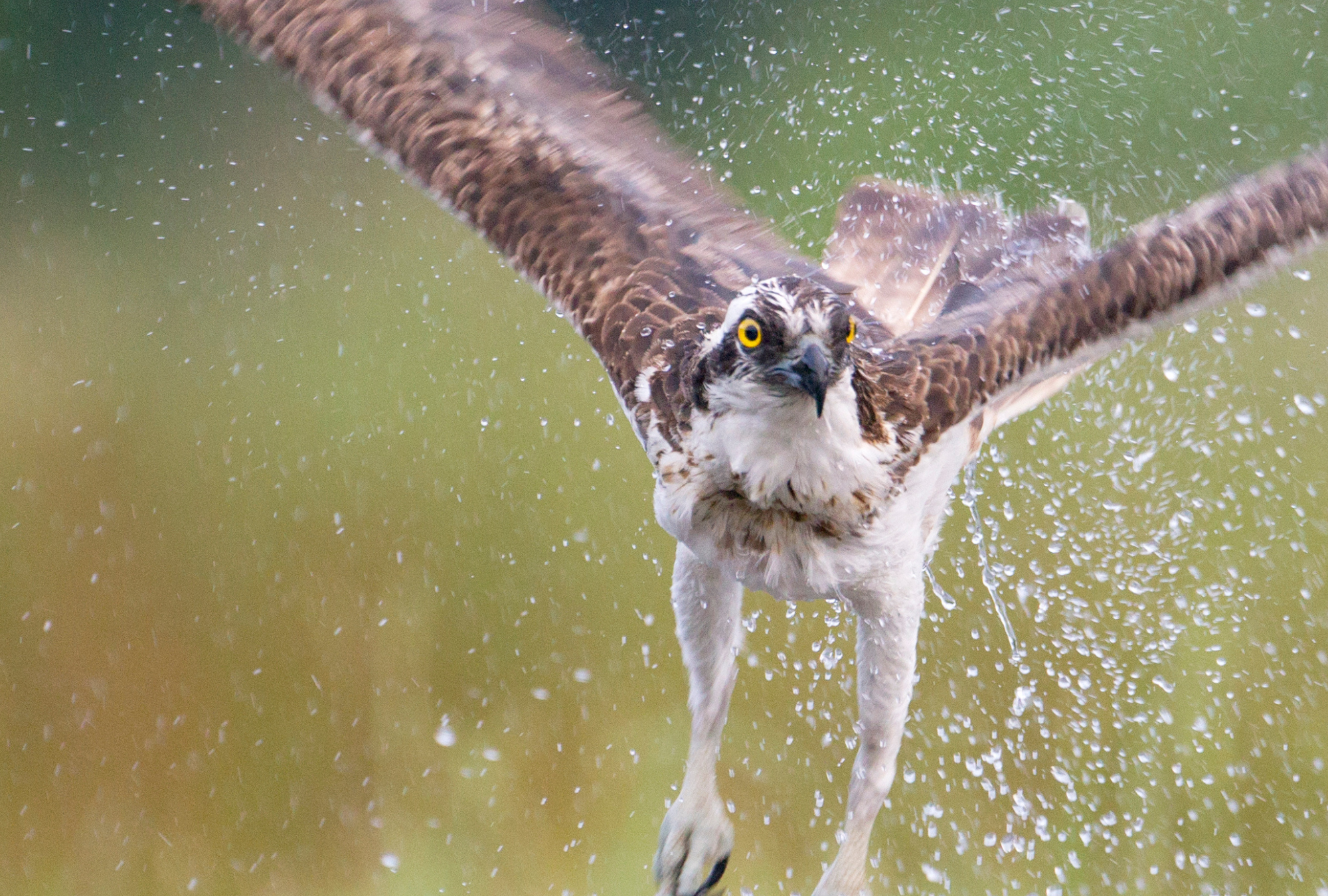 3rd Edit Assets for Big Give paid social 2000 x 1350 px