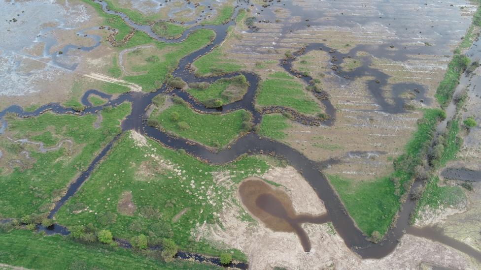 Wiggly rivers at Wild Ken Hill