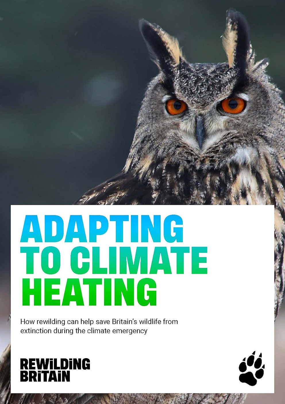 Eagle owl in snow on the cover of the "Adapting to climate heating" report