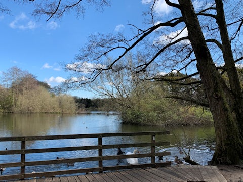Allestree spring ake
