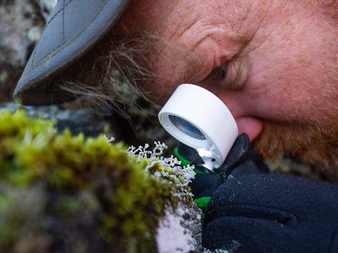 Joe Hope taking a look at lichen adorning a stone wall