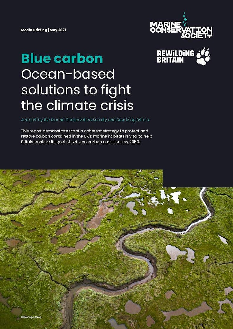 Blue Carbon report cover