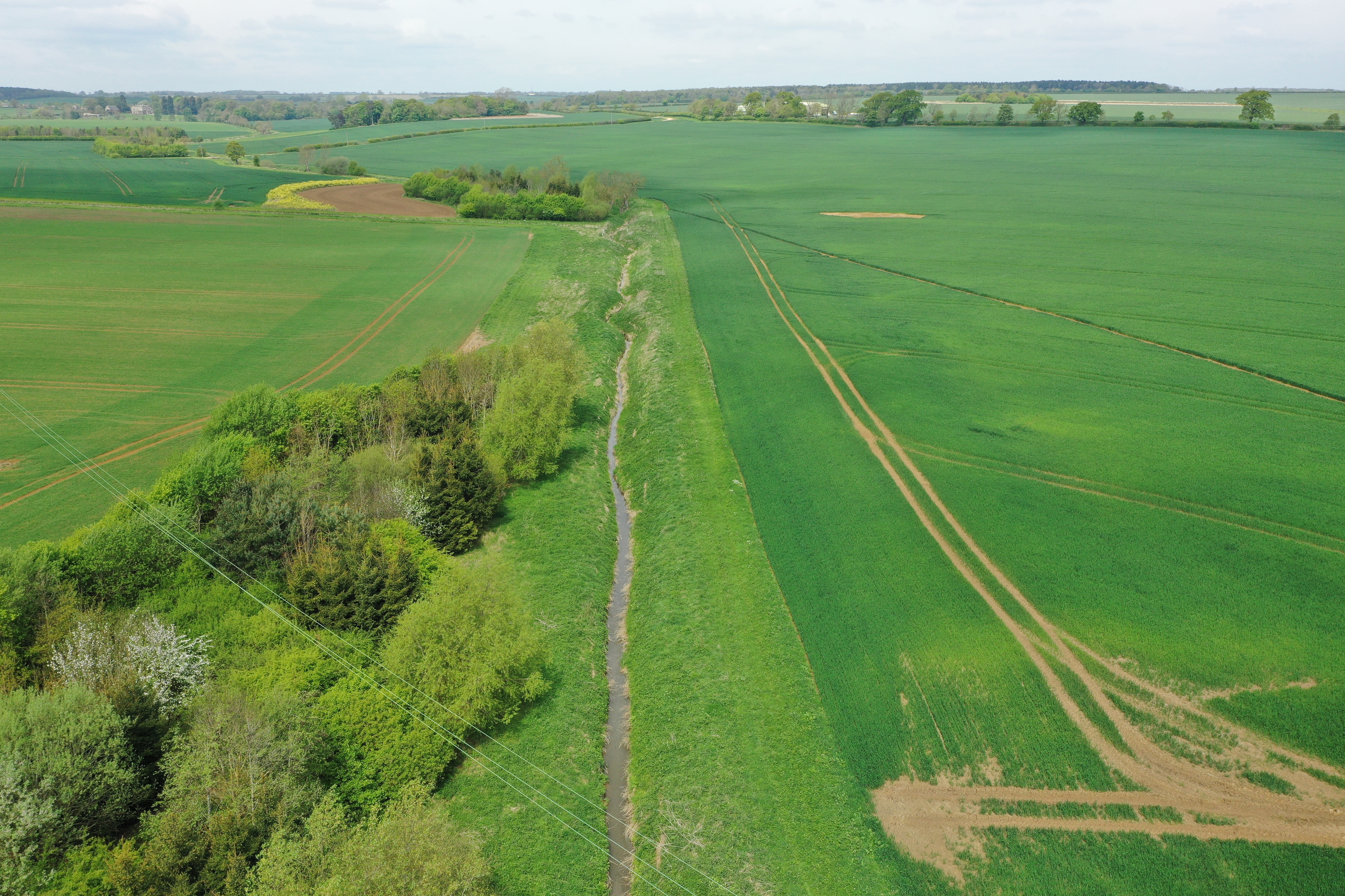 Green agricultural fields separated by small forest patches