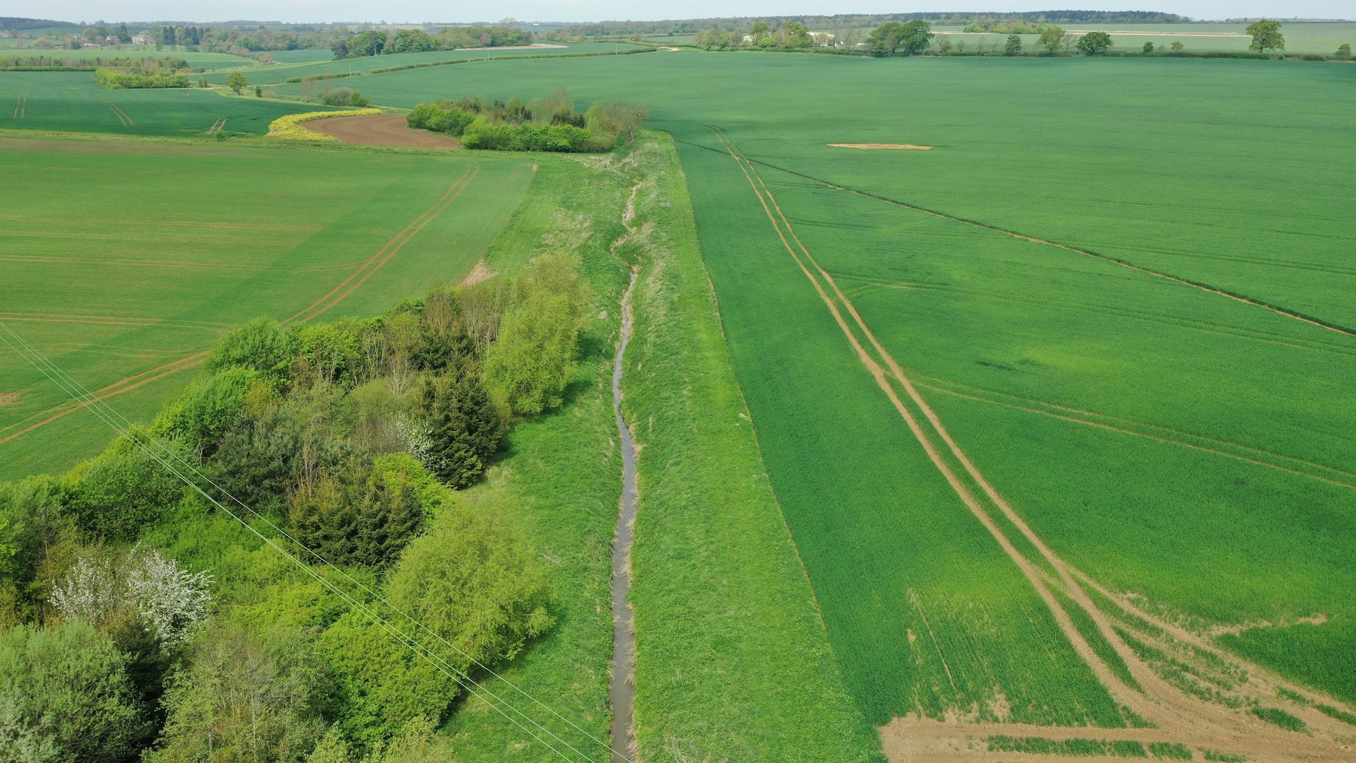 Green agricultural fields separated by small patches of forest