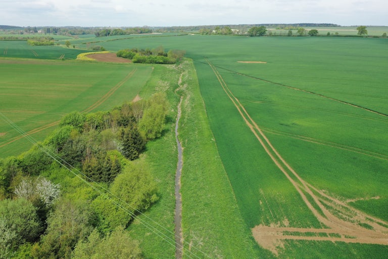 Green agricultural fields separated by small patches of forest