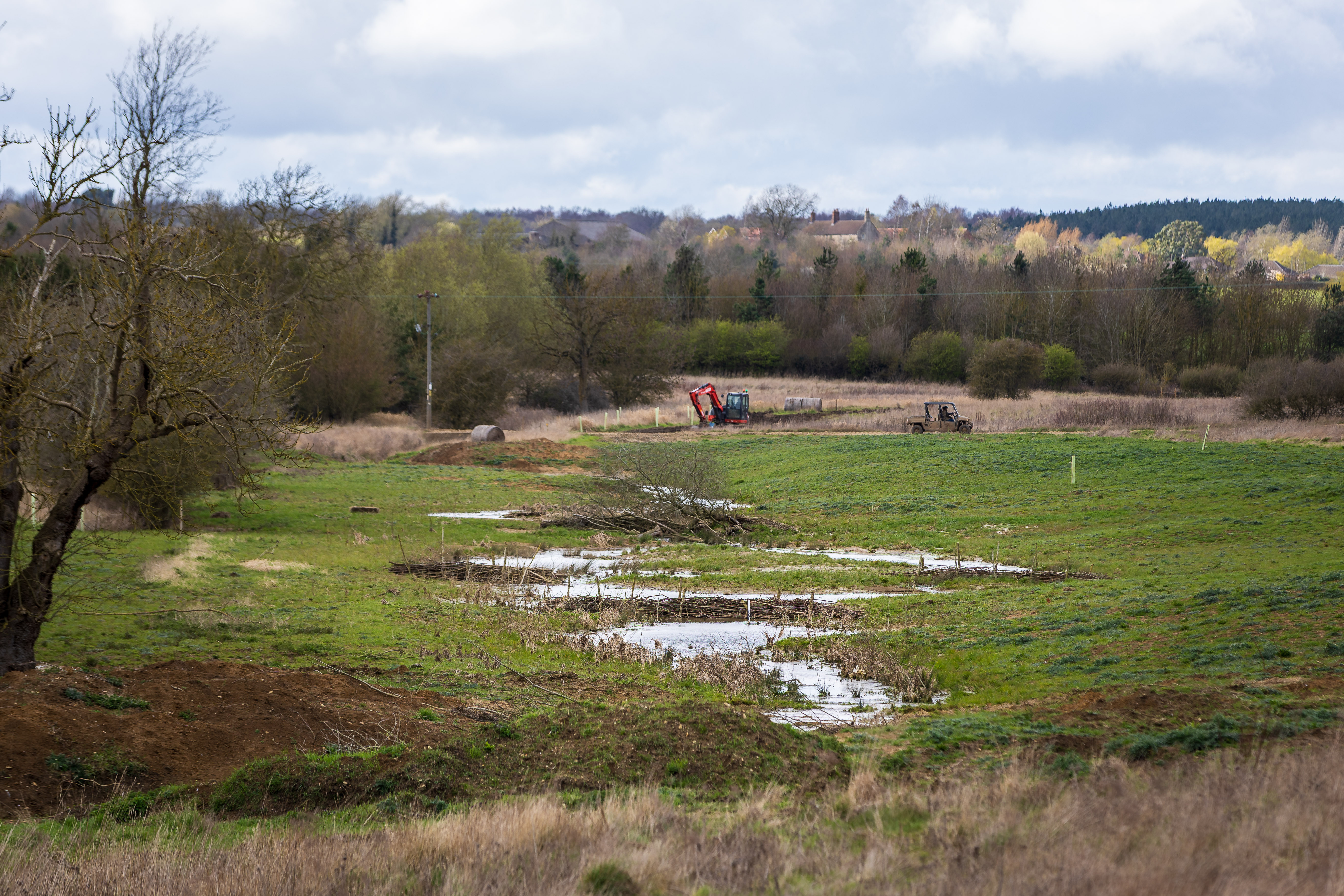 Field surrounded by trees with work to restore hydrology in the centre