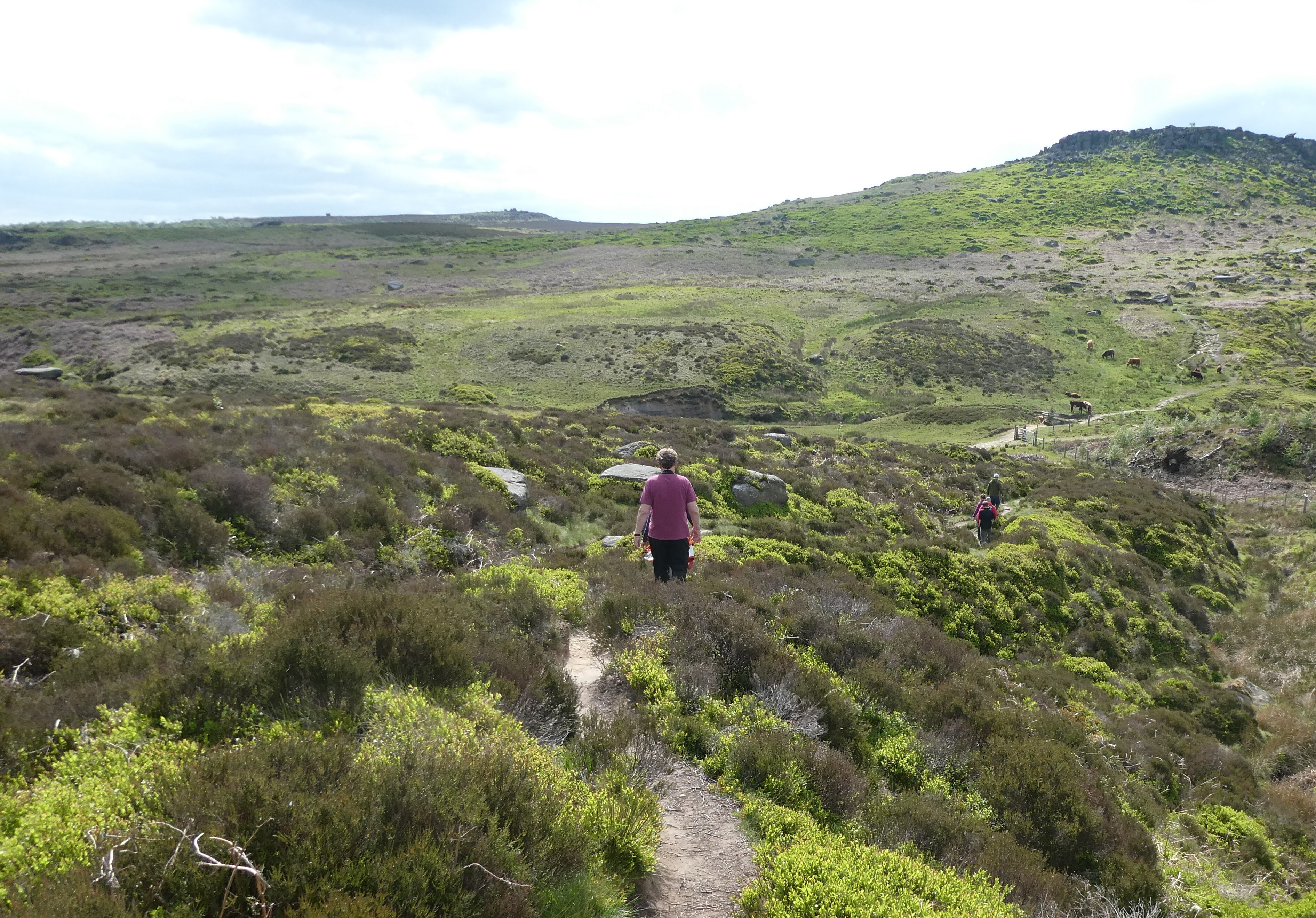 Burbage Moor
