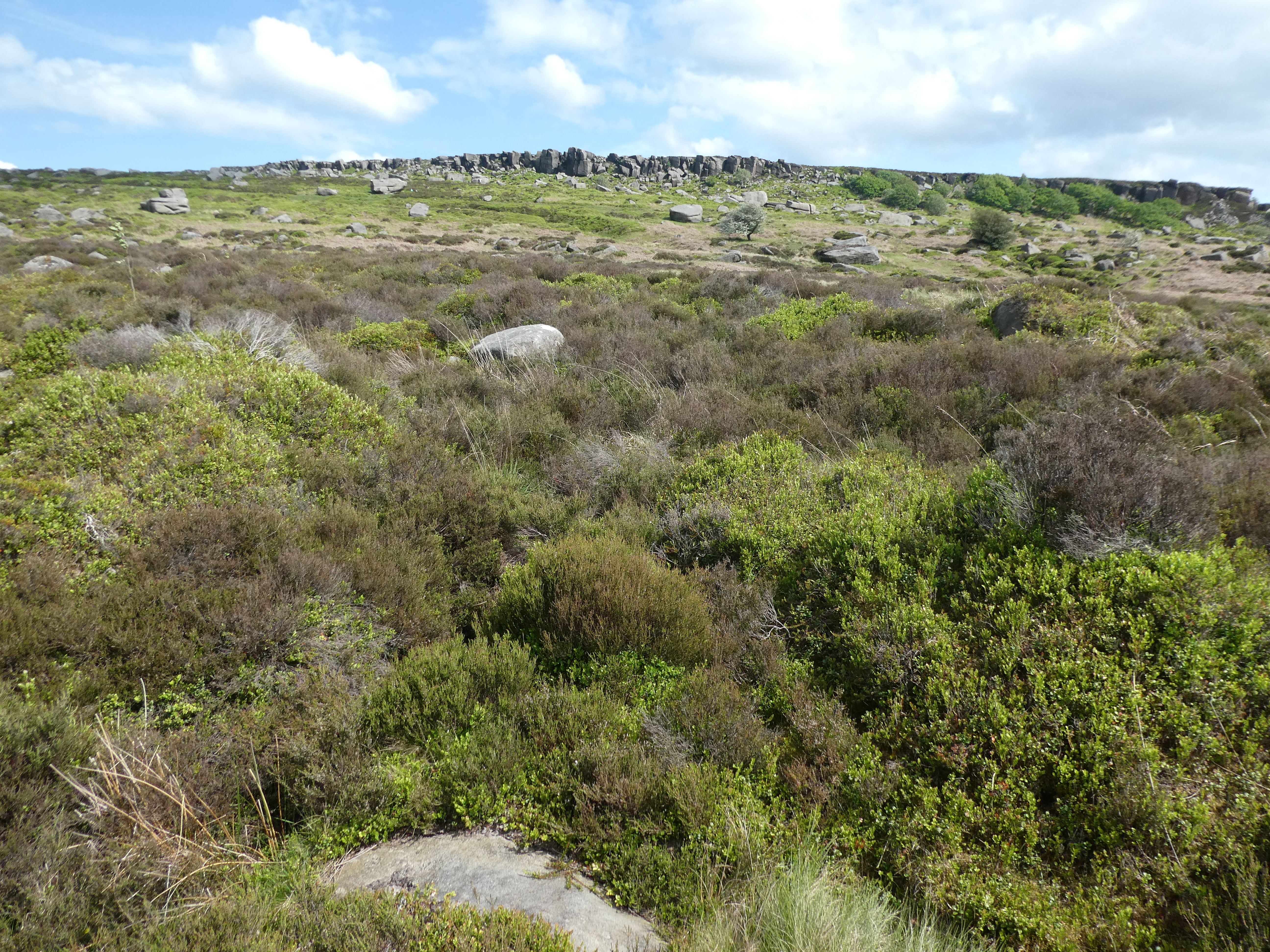 Burbage Moor
