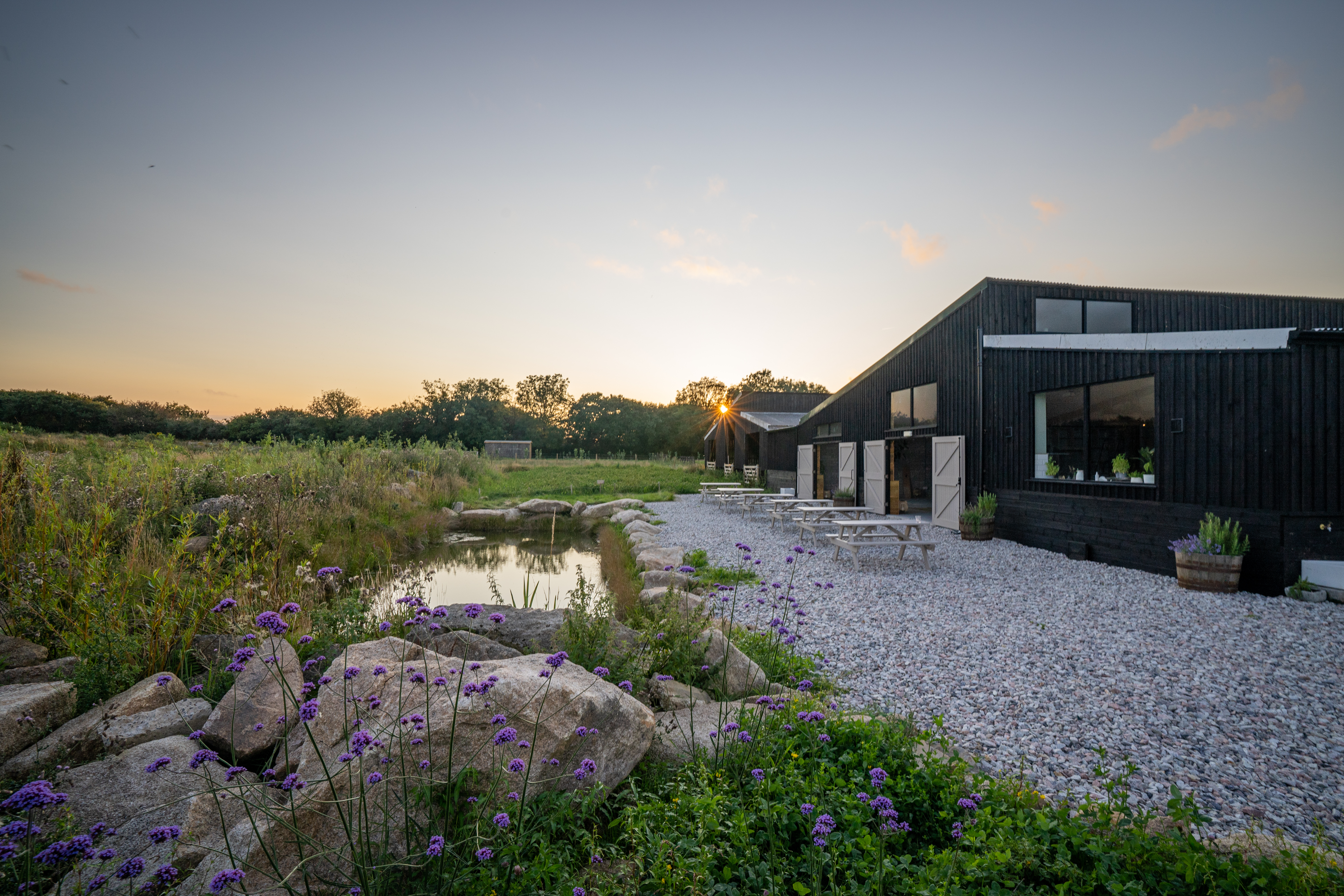 Cabilla Cornwall Rewilding Project Rewilding Britain