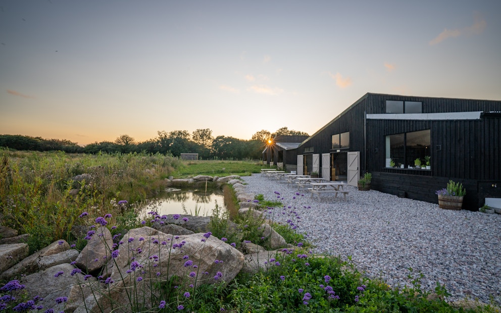 Cabilla Cornwall Rewilding Project Rewilding Britain