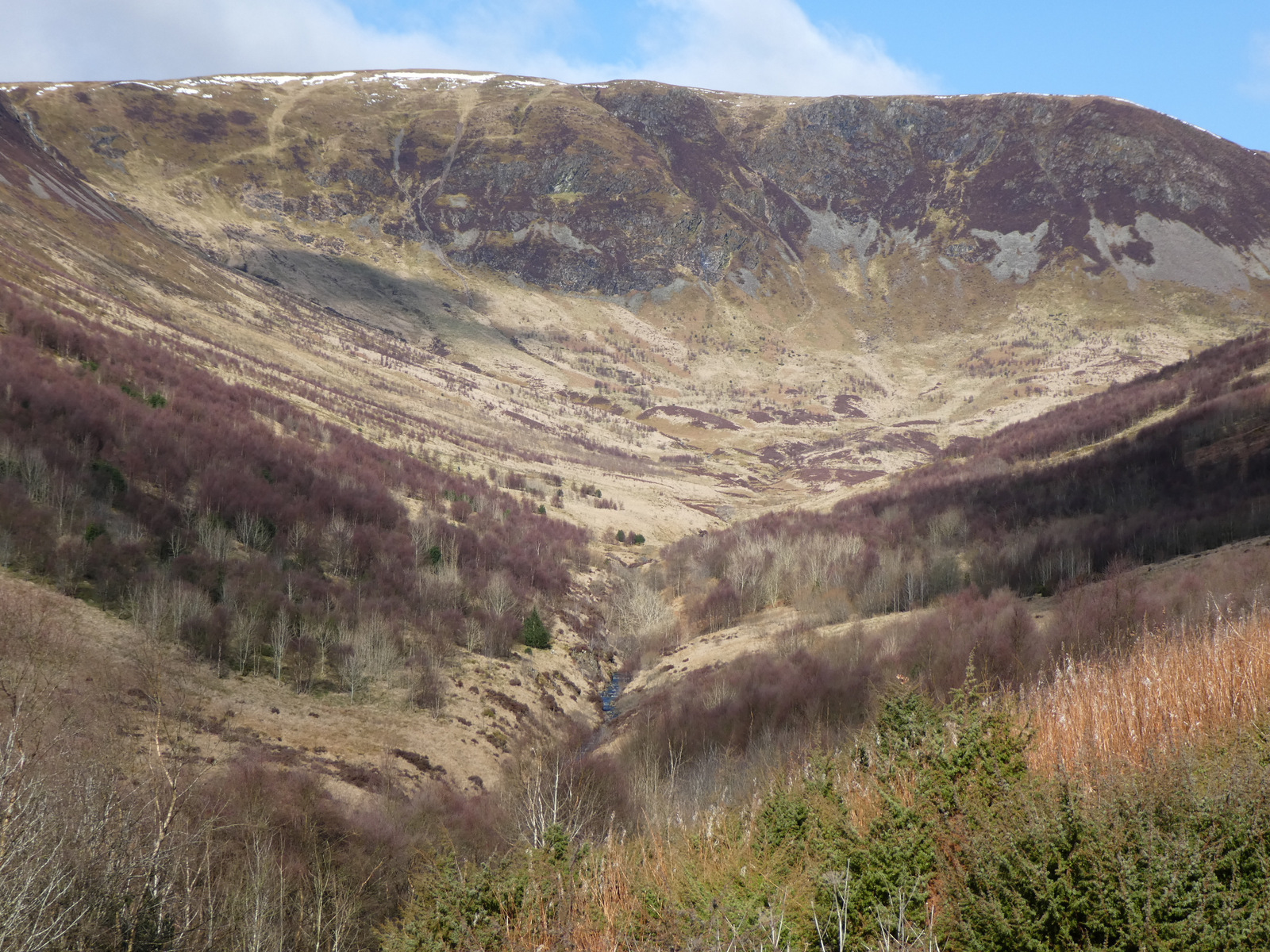 Landscape in Carrifran valley, Scotland