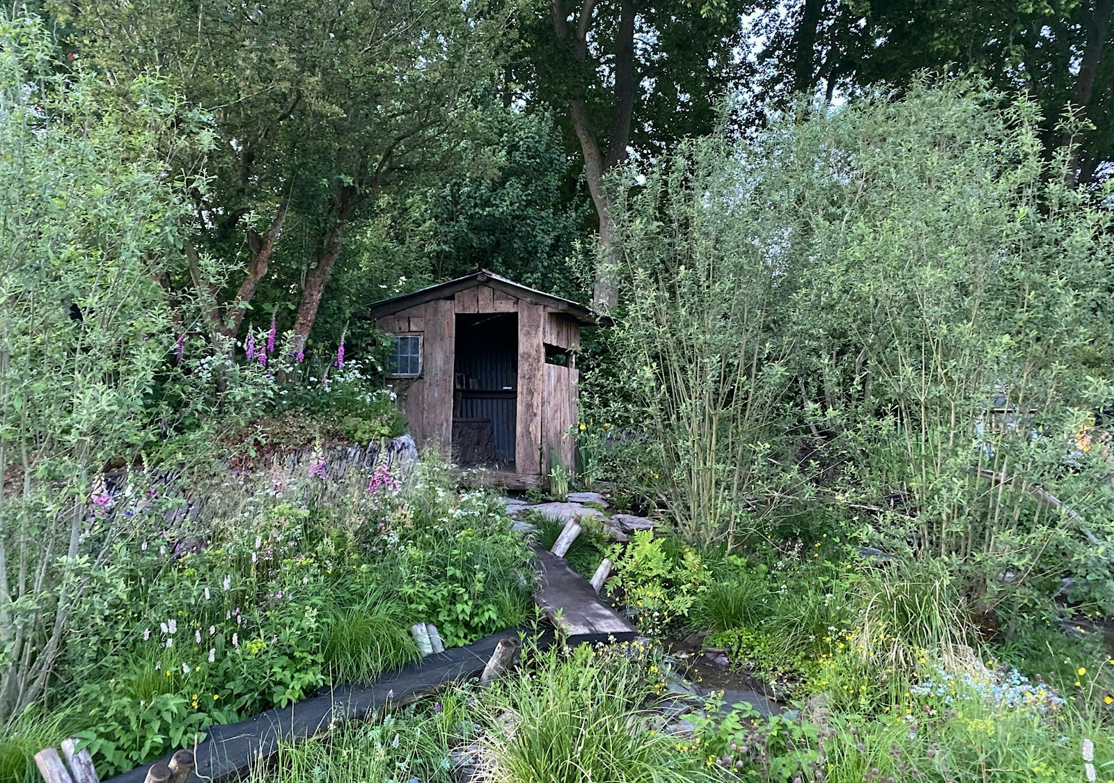 The Rewilding Garden at Chelsea flower show