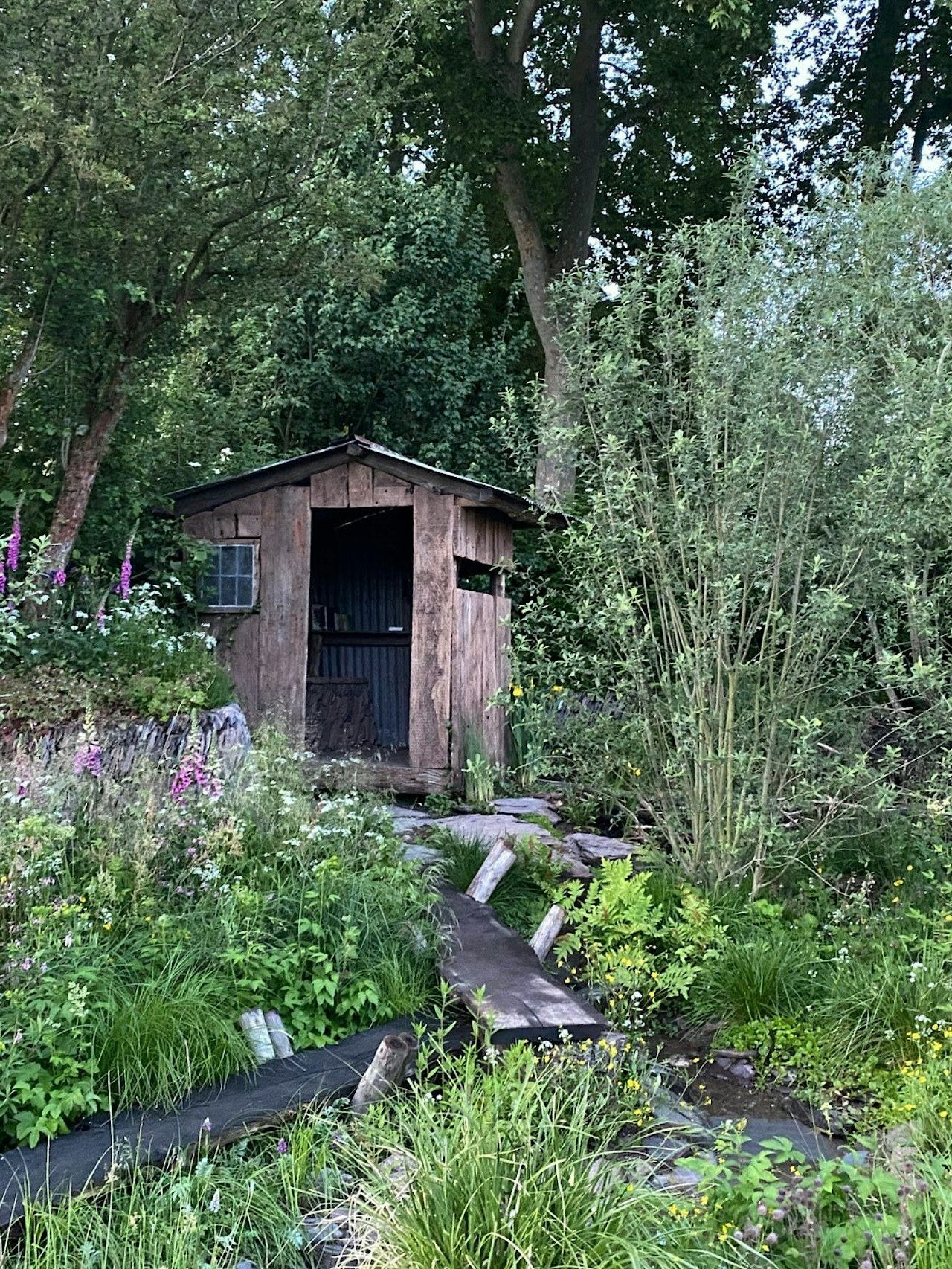 The Rewilding Garden at Chelsea flower show