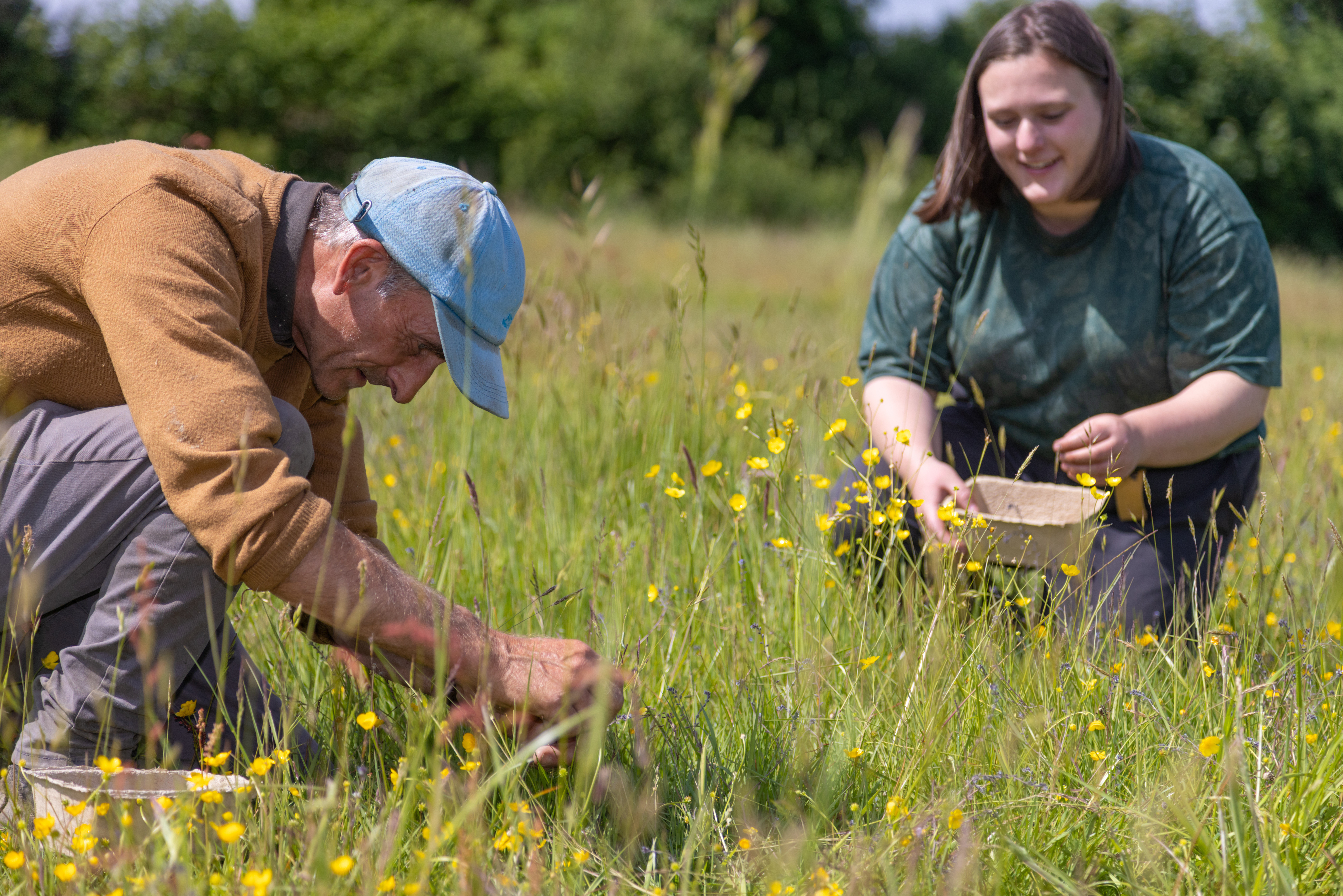 Two people knelt down in a grass meadow looking at flowers.