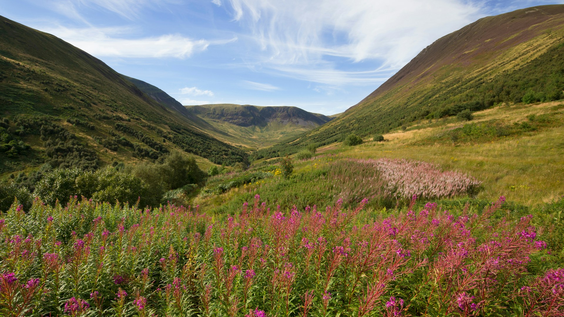 Carrifran in the Scottish Borders