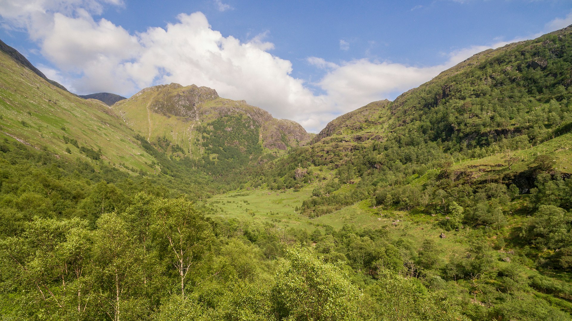 Glen Nevis Woodland Regeneration