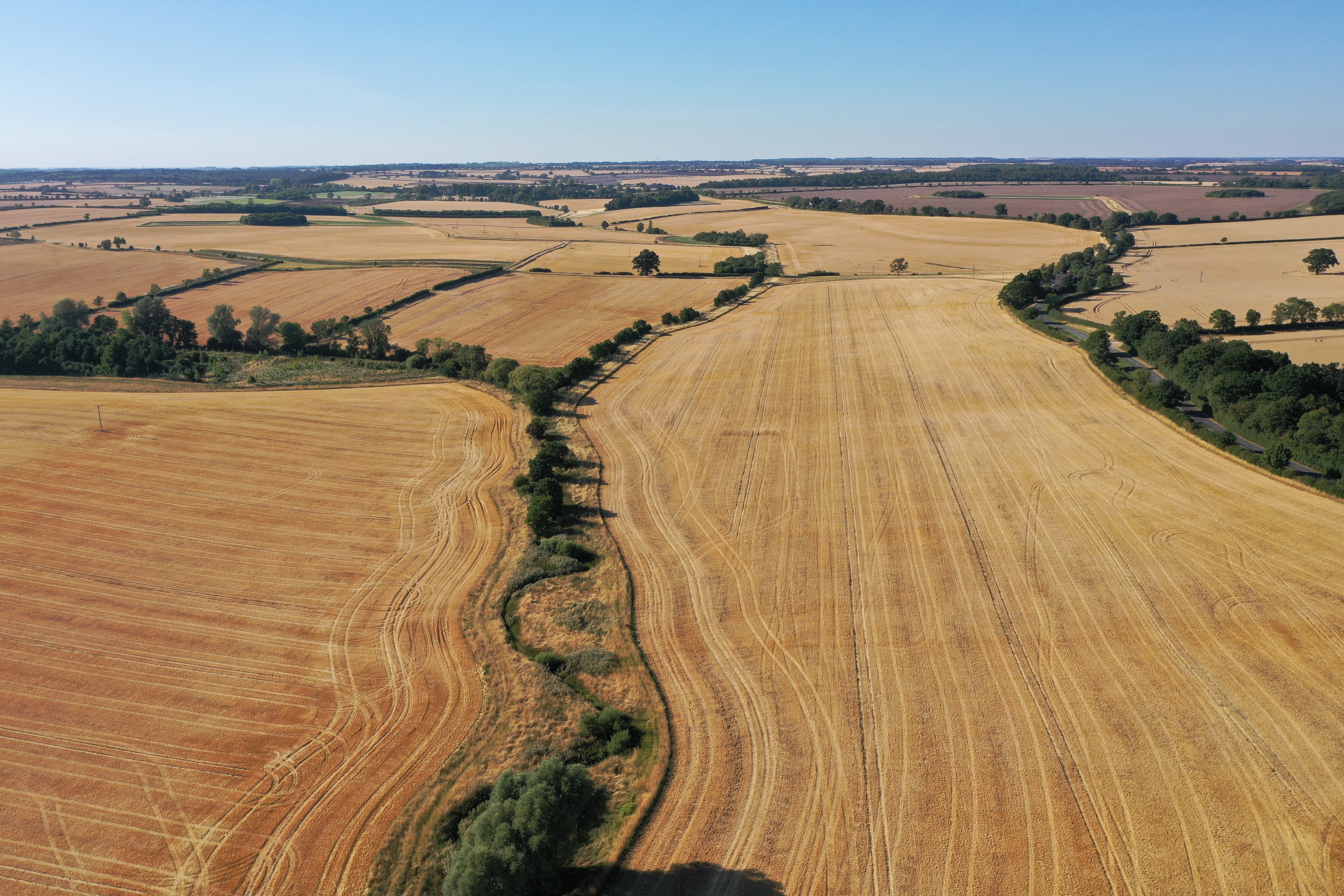 Mosaic landscape of agricultural fields seperated by tree-lined borders