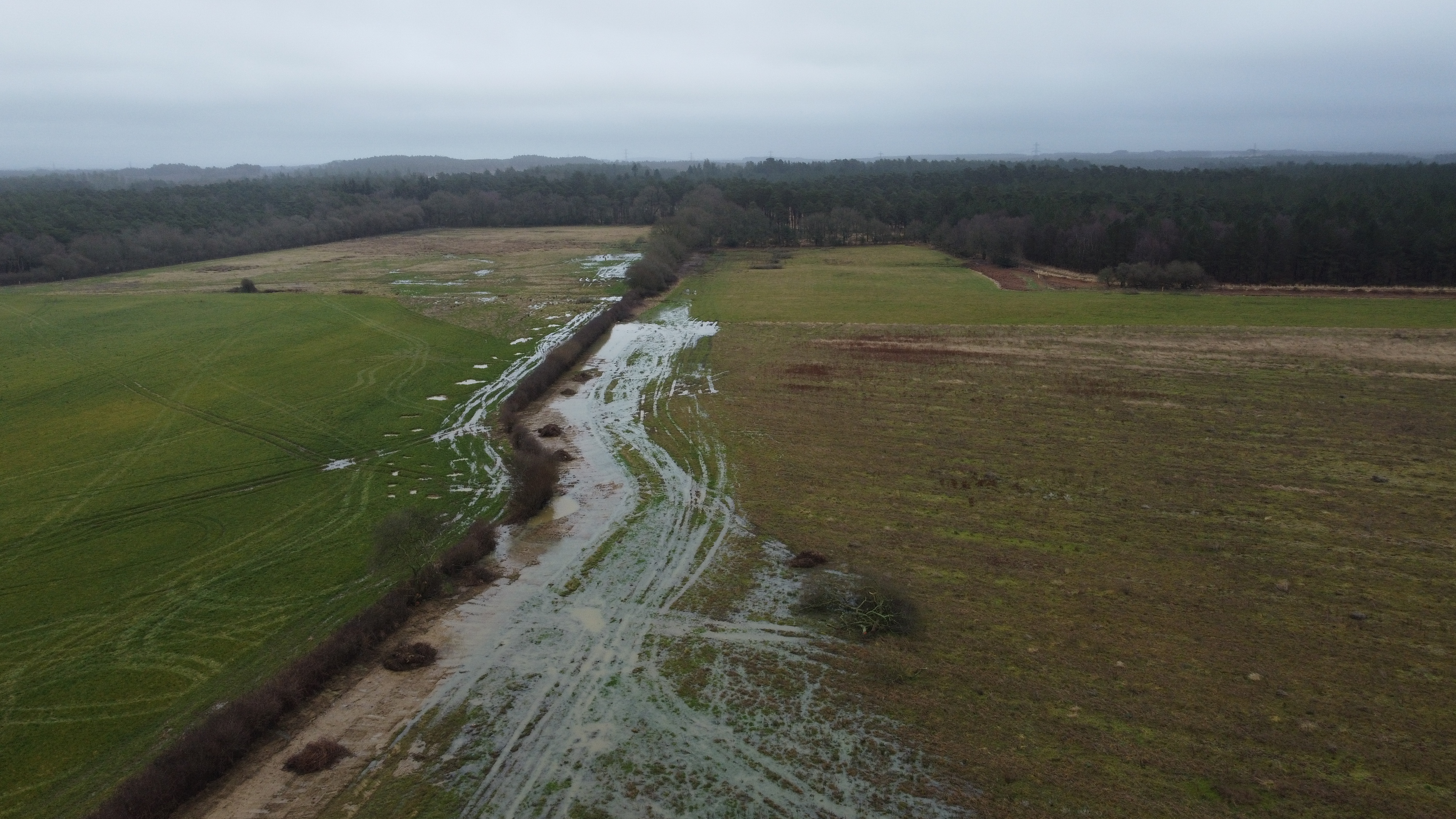 Flood plains Wild Woodbury