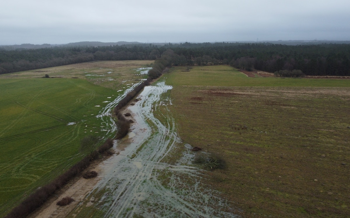 Flood plains Wild Woodbury