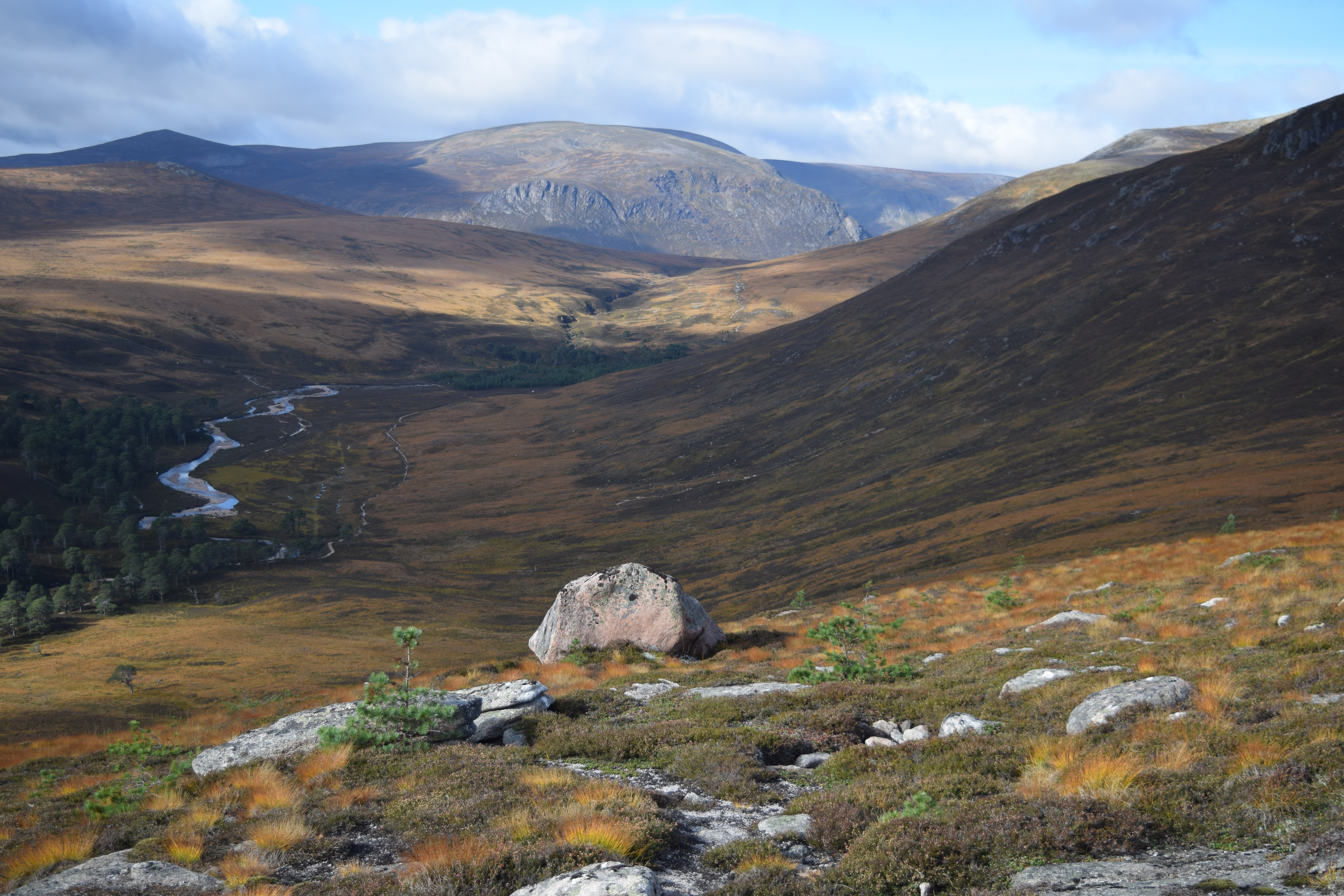 Mar Lodge, Rocky Hillside