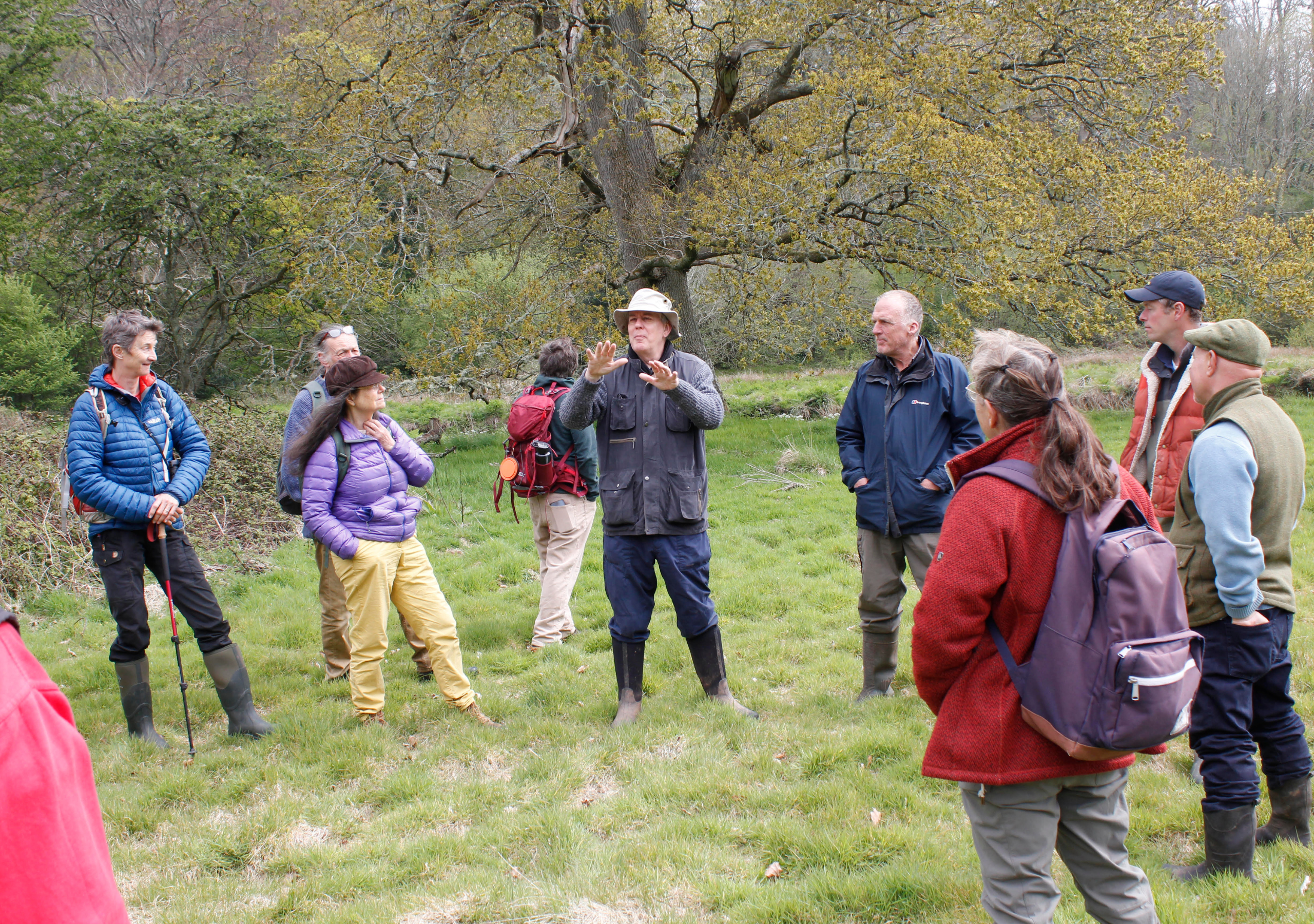 Devon Rewilding Network