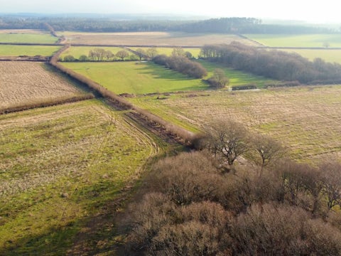 Landscape view of Wild Woodbury Rewilding Project in Bere Regis, Dorset