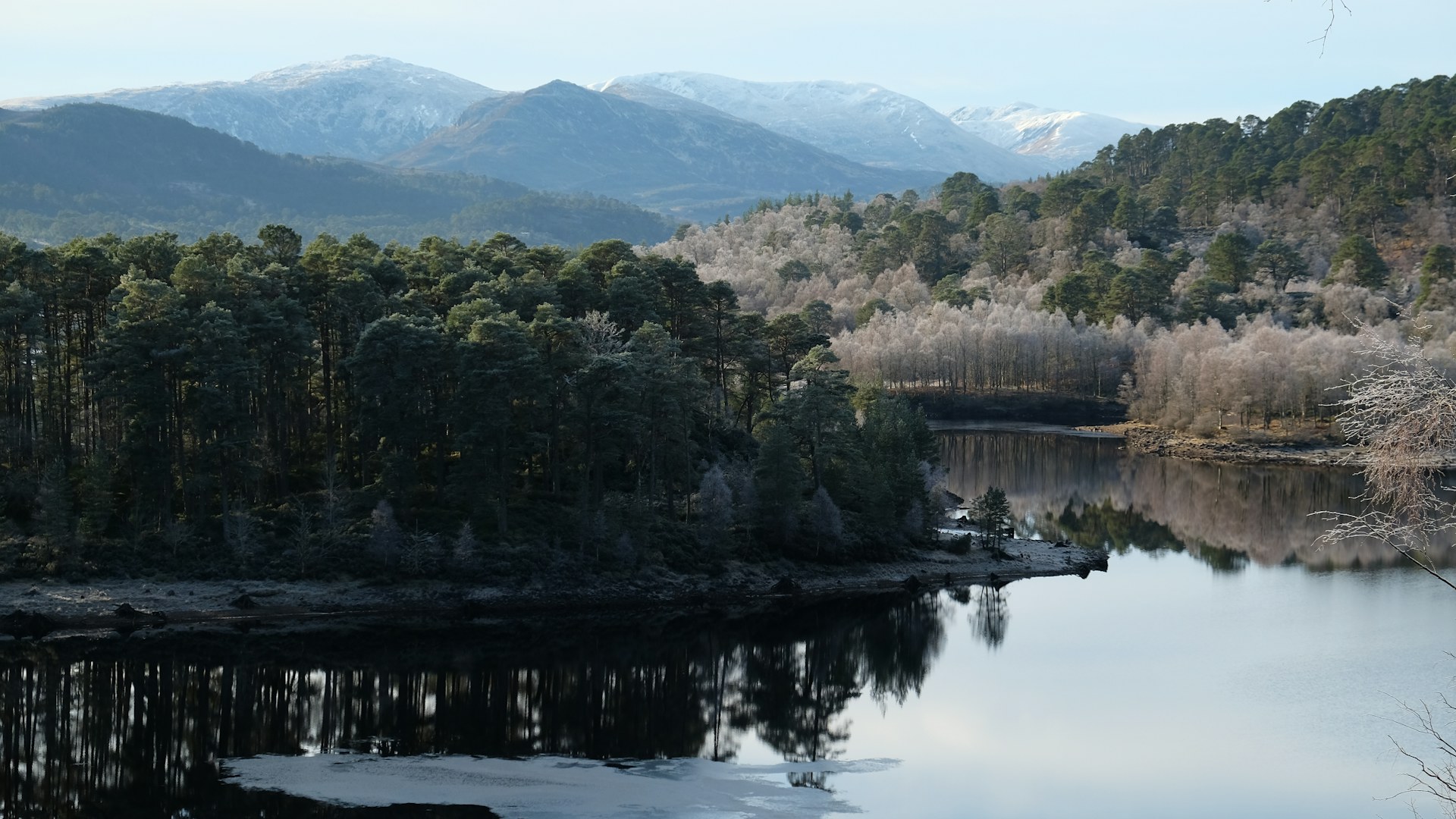 Glen Affric