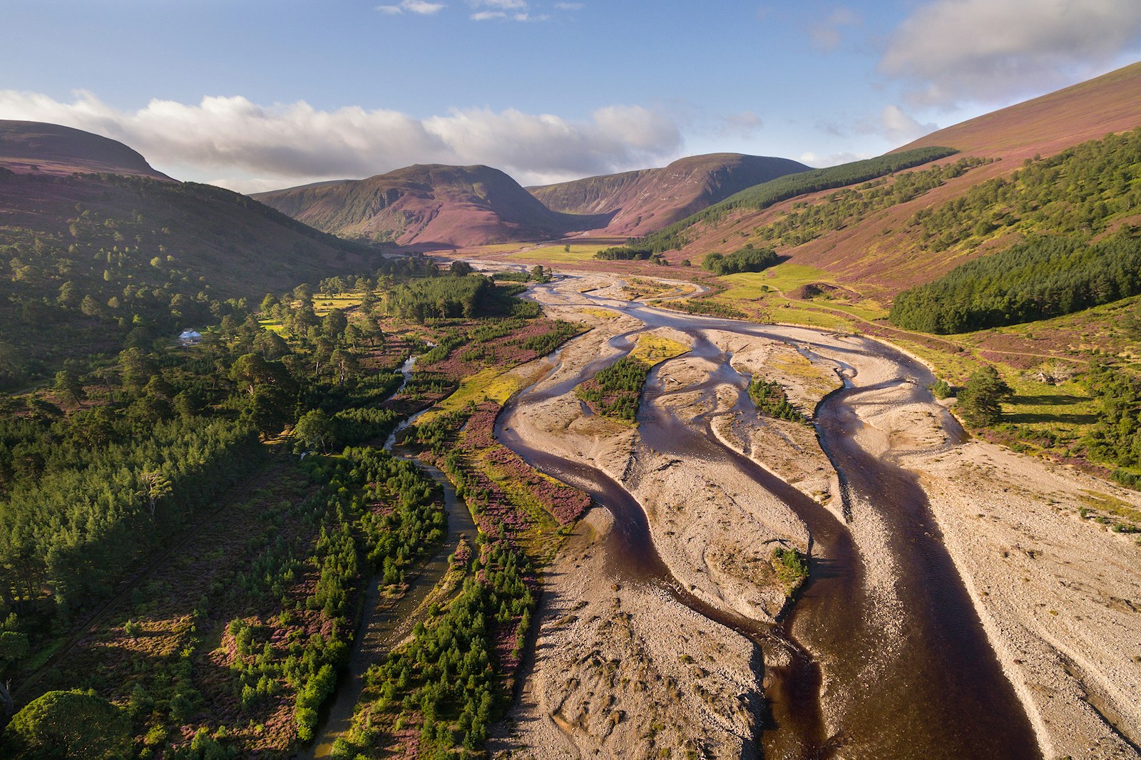 Glen Feshie