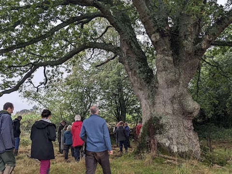 People working under tree
