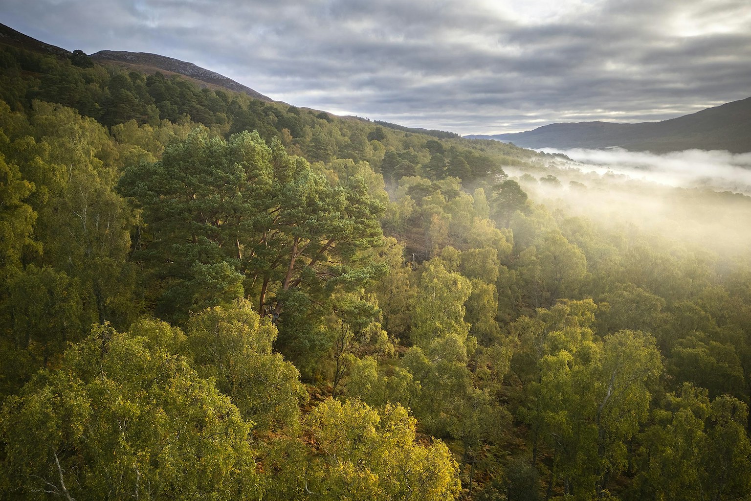 Aerial view Dundreggan