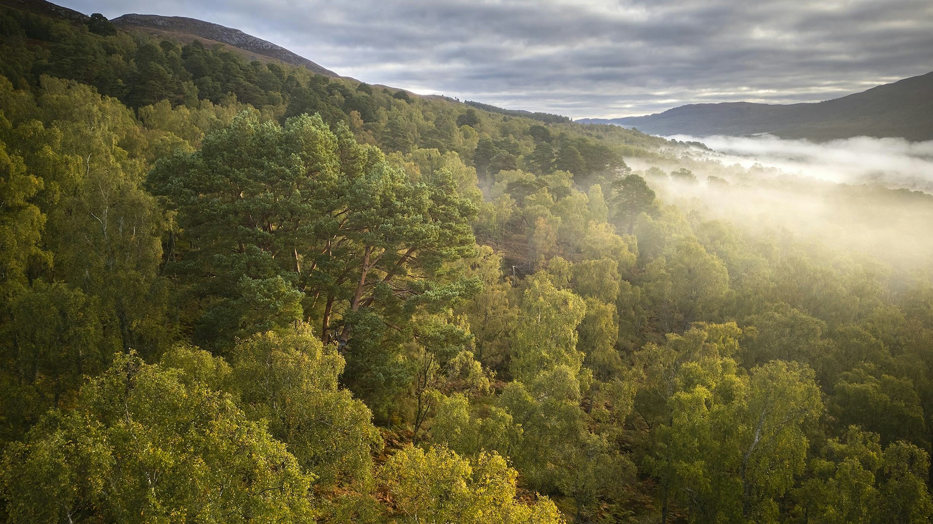 Aerial view Dundreggan