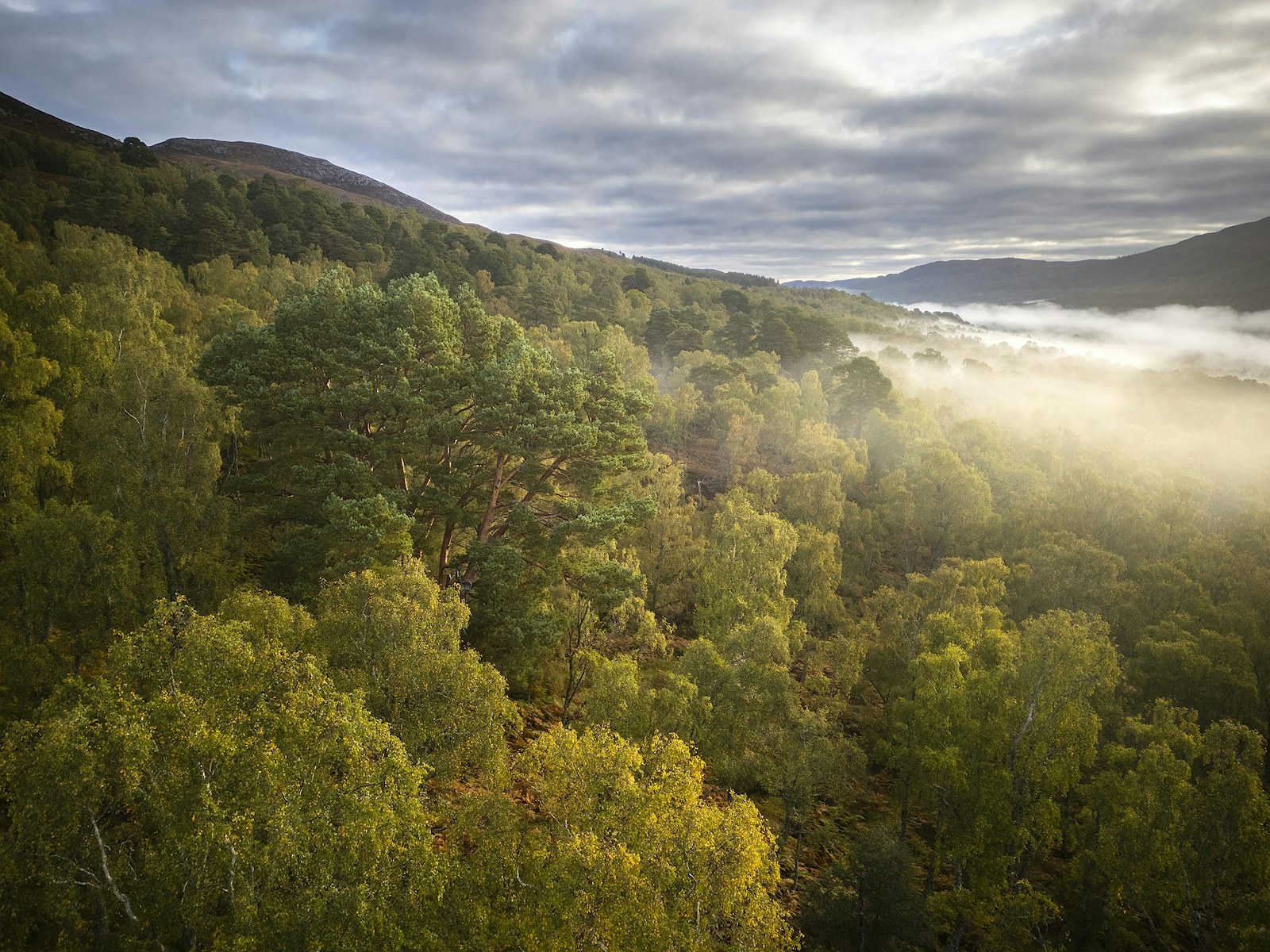 Aerial view Dundreggan