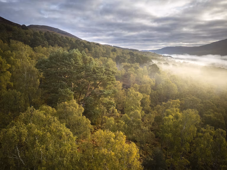 Aerial view Dundreggan