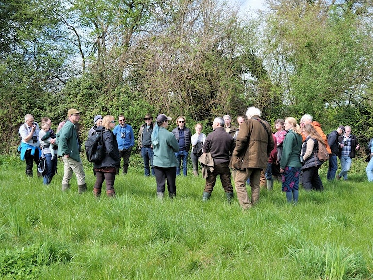 A group of people at a rewilding site in Hampshire
